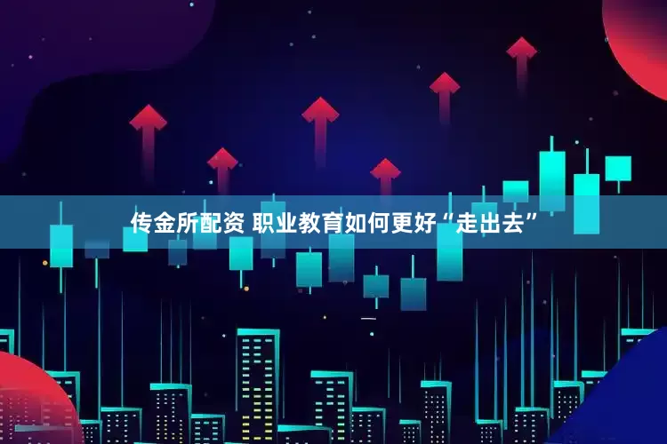 传金所配资 职业教育如何更好“走出去”