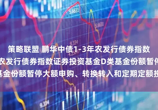 策略联盟 鹏华中债1-3年农发行债券指数D: 鹏华中债1-3年农发行债券指数证券投资基金D类基金份额暂停大额申购、转换转入和定期定额投资业务的公告