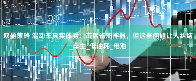 双盈策略 混动车真实体验：市区省油神器，但这些问题让人纠结_车主_低油耗_电池