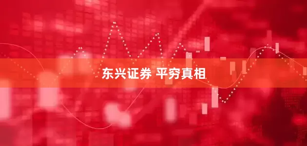 东兴证券 平穷真相