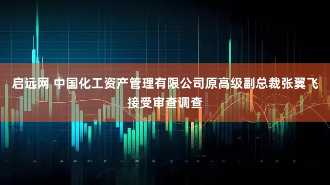 启远网 中国化工资产管理有限公司原高级副总裁张翼飞接受审查调查