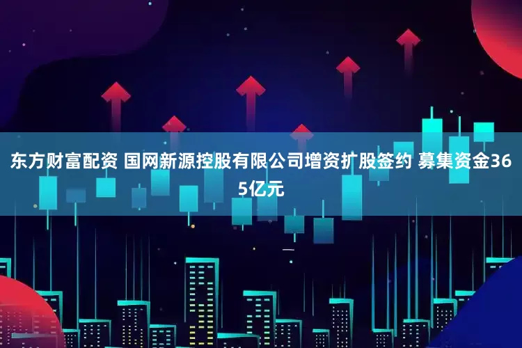 东方财富配资 国网新源控股有限公司增资扩股签约 募集资金365亿元