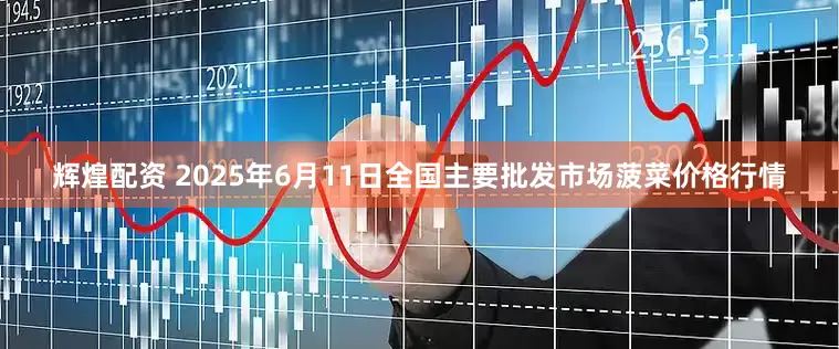 辉煌配资 2025年6月11日全国主要批发市场菠菜价格行情
